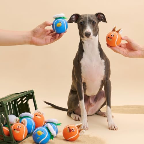 ZEZE Zorro the Fox Squeaky Dog Toy, Cute Plush Tennis Ball Dog Toy with Hidden Squeaker in Fox Ears, Soft Fetch & Chew Toy for Small to Medium Dogs & Puppies, Gift-Ready Designer Pet Toy