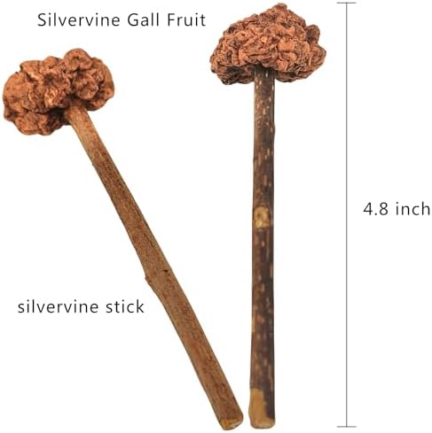 miwoowim 4PCS Silvervine Cat Sticks & Gall Fruit, Natural Dental Chew Toy