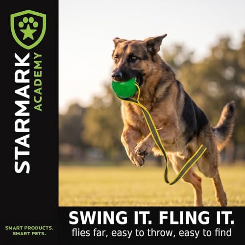 Starmark GripCord Chew Ball on Loop Md/Lg Dogs 3.25-in