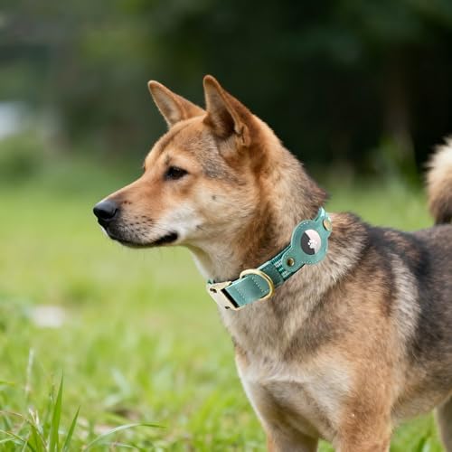 Airtag Dog Collar, Reflective Collar w Airtag Holder for Medium Dogs(Green)