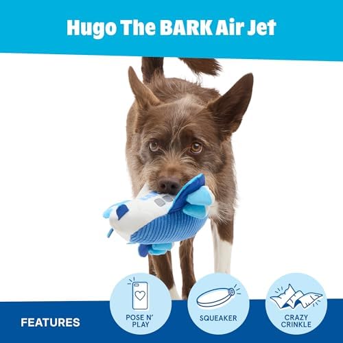 BarkBox Hugo the BARK Air Jet Dog Toy - for Dogs