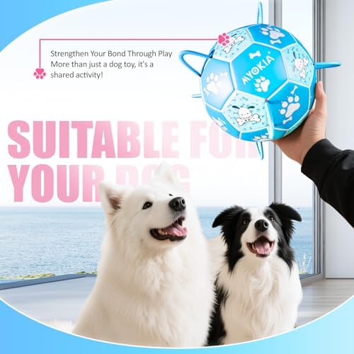 Size 3 Blue Dog Soccer Ball with Straps Eye-Catching Bone and Paw Print Design, Ultra-Durable Training Ball for Pets Interactive Outdoor Dog Toy, Perfect for Medium & Large Puppies