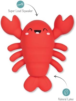 Fringe Studio Latex Dog Toy, Snappy and Happy, Pet Shop Collection (366098)