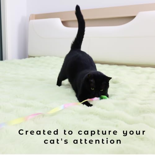 Interactive Cat Wand Toy with Feather Refills, Cat Teaser Toy for Kittens
