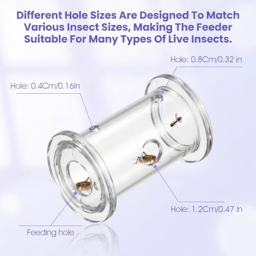 2 Pack Bearded Dragon Toys and 2 Pcs Tweezers, Bearded Dragon Accessories Transparent Plastic Feeder Toy Lizard Rolling Interactive Feeding Toys Reptile Feeding Accessories for Gecko Lizard