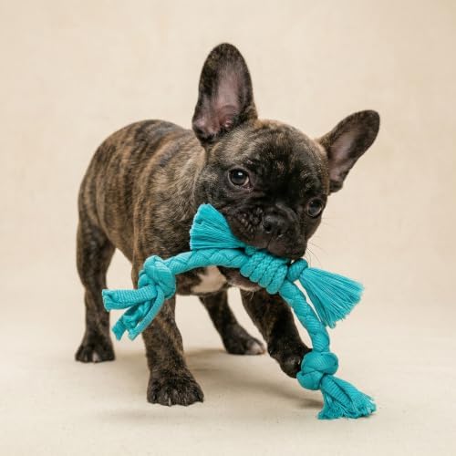 Playology Dog Toys | Sensory Rope for Puppies and Young Dogs | Peanut Butter Scented Small Tug of War Dog Toy | Teething Puppy Essentials Rope Toys
