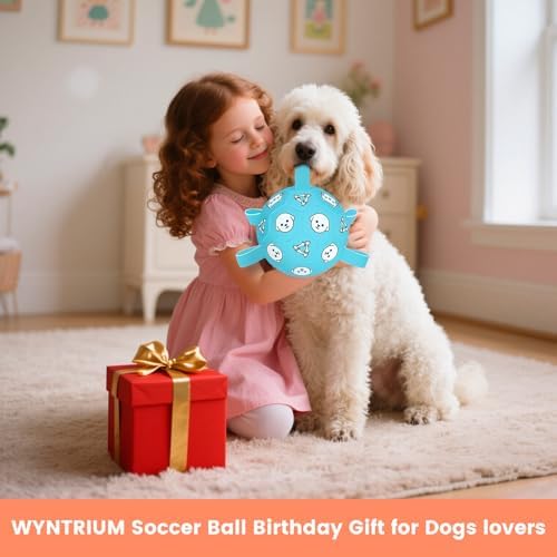 8 Inch Dog Soccer Ball with Straps, Jolly Ball for Medium Dogs