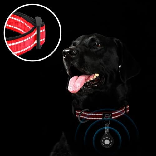 azuza Airtag Dog Collar, Medium Dog Collar with Airtag Holder, Red, M