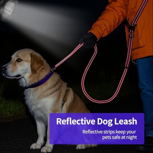 Puppy Dog Collar & Hands-Free Dog Leash Adjustable Length 5-8 Ft Adjustable Nylon Collar with Quick-Release Buckle