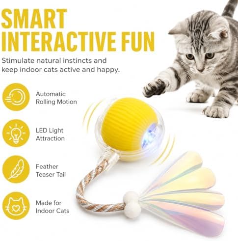 Interactive Cat Toy Ball with LED Lights – USB-C Rechargeable Automatic Cat Toy with Feather Tail for Indoor Cats & Kittens, Upgraded Version