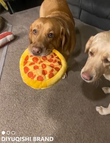 2 Pack Squeaky Plush Chew Toys Pizza Banana for Small Puppies