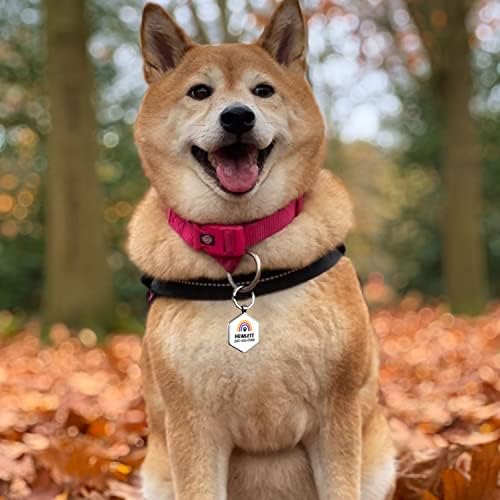 Dog Tags Personalized Pet ID Tags - QR Code Customize Dog Cat Tag - Pet Online Profile Display Pet Information