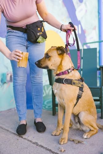 OllyDog Flagstaff Collar, Adjustable Soft Puppy Collars with Quick Release Buckle, Ideal Dog Collar for Everyday Use and Adventures (Large, Rosewood Woodgrain)
