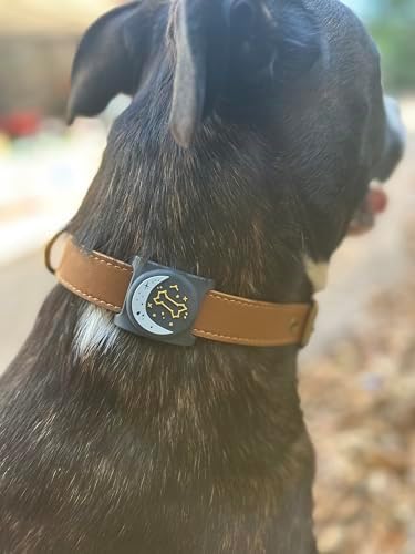 Two Tails Zodiac Dog Collar Holder Compatible with Apple AirTag