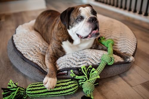 Jolly Pets Knot-N-Chew 3 Knot Green/Black Small/Medium, JTJP013