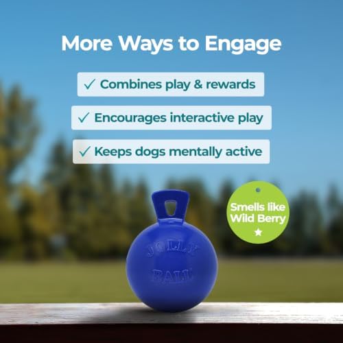 Jolly Pets Tug-n-Toss - Heavy Duty Chew Ball w/ Handle (Blue, 6") for Medium Breeds