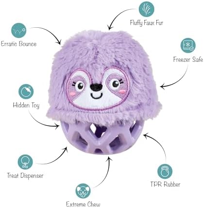Fringe Studio Rubber Dog Toy, NOT Fast NOT Furious, Pet Shop Collection (519053)