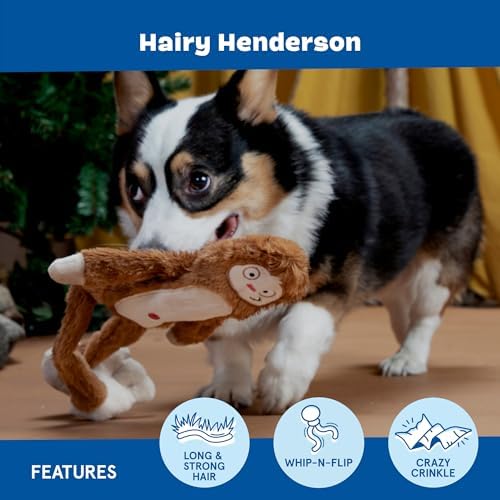 BarkBox Hairy Henderson Dog Toy - Fun for Dogs