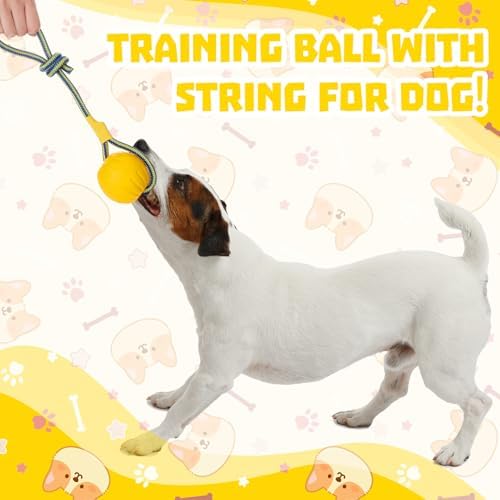 Hsei 2 Pcs 3.5" Dog Rope Toy Ball on Rope Fetch and Tug of War Toy for Dog