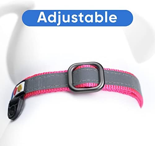 Pawtitas Personalized Dog Collar Martingale Dog Collar with Name Phone Number Reflective Martingale Dog Collar Customized Collar for Medium Dogs | Pink Custom Dog Collars for Medium Dogs