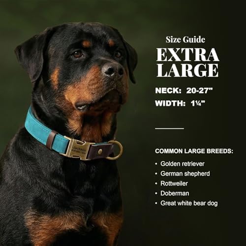 Personalized Dog Collars, Quick Release Buckle, Light Blue,XL