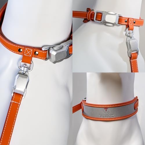 Magnetic Dog Collar and Leash Set with Quick Release Buckle, Easy On & Off Faux Leather Puppy Collar with 4FT Leash for Small, Medium Dog