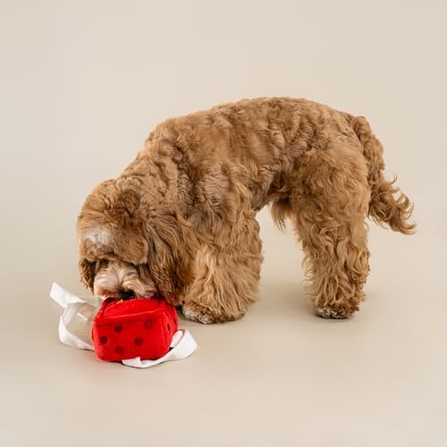 CHEWFFON Gift Box Snuffle Dog Toy, Interactive Treat Hiding Puzzle Toy