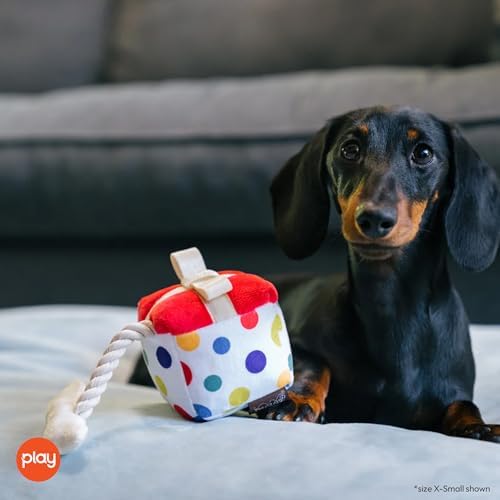 P.L.A.Y. Cute Plush Dog Toy - Birthday Party Celebration Themed Durable Squeaker Chew Toy, Great for Puppies & Small, Medium, Large Dog - Machine Washable, Recycled Material (Pawfect Present, X-Small)