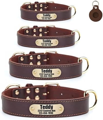 Personalized Genuine Leather Dog Collar with Name & Phone Number-Brown XS