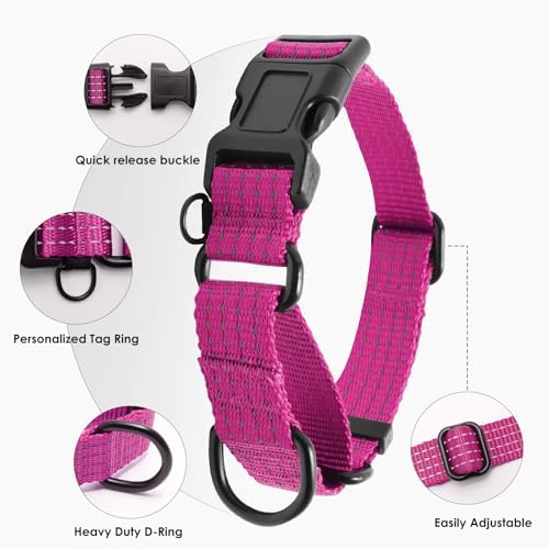 Martingale Dog Collar, Reflective No Pull with Buckle, Hot Pink, M