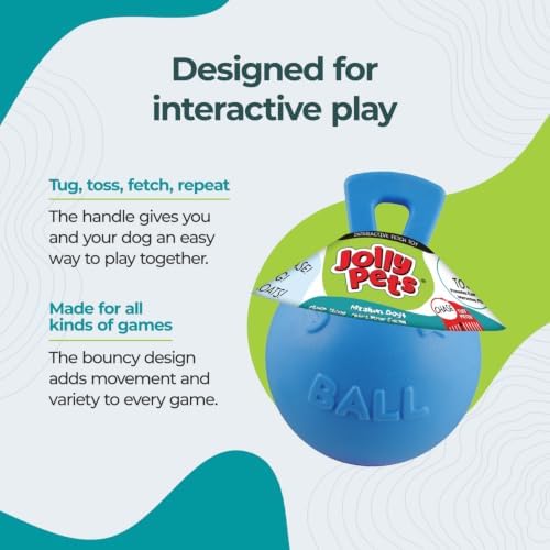 Jolly Pets Tug-n-Toss Heavy Duty Dog Toy Ball with Handle, 8 Inches/Large, Blueberry