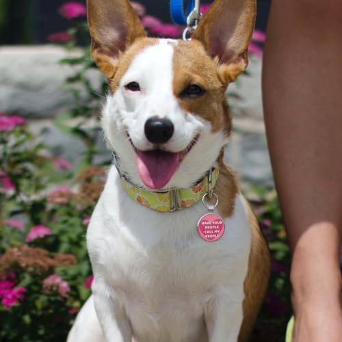 MYLUCKYTAG QR Code Dog Tags - Scan for Instant Pet Location Alert Email