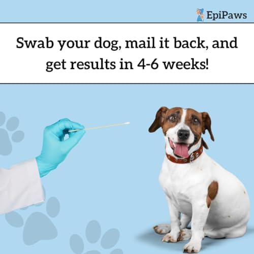 Dog Age Test - At-Home DNA Methylation Test to Estimate Dog’s Age | Estimate Your Dog’s Age, Mouth Swab Kit for Rescue & Shelter Dogs, Includes Estimated Birthday, Life Stage & Health Insights