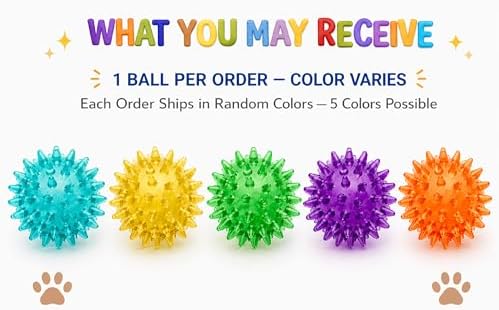 Squeaky Spiky Dog Ball 2.5 Inch for Small Medium Dogs (Color Varies), Teeth Cleaning & Gum Massage, Spiny TPR Rubber Chew Toy for Fetch Play, Interactive Bouncy Dental Ball, Durable BPA Free