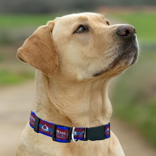 Pets First NHL Collar for Dogs & Cats. Adjustable, Cute, & Stylish! The Ultimate Hockey Fan Collar!