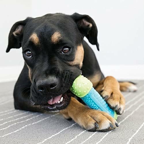 KONG CoreStrength Bone, Dental Chew Toy, for Medium/Large Dogs (Pack of 2)