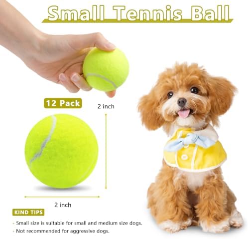 Magicorange Small Tennis Balls, 12 Pack 2 inch Tennis Balls for Dogs