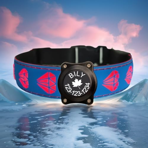 Personalized Dog Collar Waterproof airtag Dog tag Holder,USB C Light up Night Black Dog Collar (Blue, XL(19.7-23.6"))