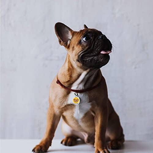 QR Code Dog Tag Personalized Pet Id Silent Cat Tags Engraved Name Plate with Online Profile («Your Heart»)