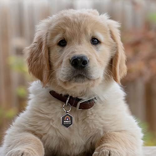 Dog Tags Personalized Pet ID Tags - QR Code Customize Dog Cat Tag - Pet Online Profile Display Pet Information