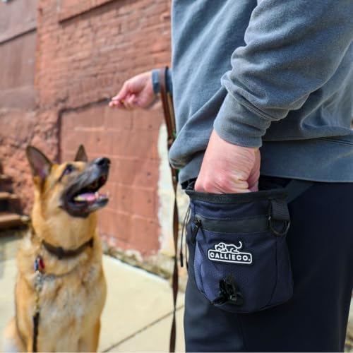 Callieco Mini Dog Treat Pouch with Magnetic & Zipper Closure | Small Waist Belt Training Behavior Aid Bag for Dog Walking with Poop Bag Dispenser (Blue)
