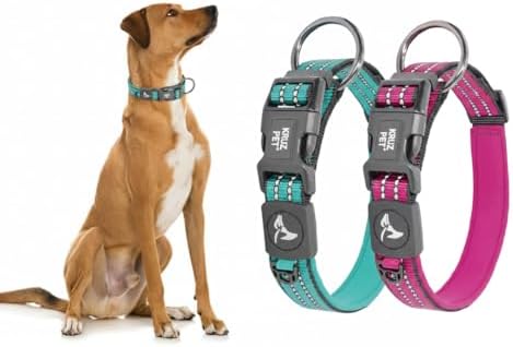 Dog Collar Bundle for Large Dogs (Width - 1", Length - 21"-25") | Adjustable Padded Raspberry Pink & Turquoise Dog Collars with Heavy Duty O-Ring | Soft & Comfortable Fit for Large Dogs
