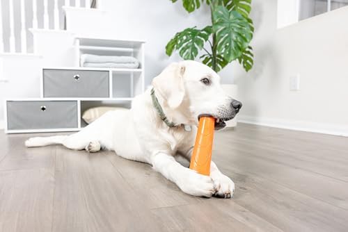 Chuckit! Super Crunch Fetch Stick Dog Toy, Durable TPR, Breeds 20-100 lbs