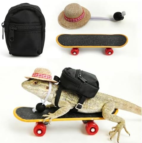 3 Pack Bearded Dragon Toy Set Includes a Bearded Dragon Backpack, an Adjustable hat, and a mini Skateboard Toy, for Small Reptile Pets Such as Lizards, Hamsters, Parrots, and Turtles.（Black）