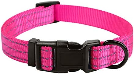 Mile High Life Reflective Dog Collar, Adjustable Lightweight Quick Release