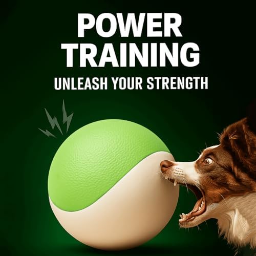 Squeaky Dog Toy – Durable Rubber Dog Ball for Medium & Large Dogs, Tough Interactive Fetch Toy for Chewers, Outdoor Training & Play Ball, Floating Water Play Gift.Green White
