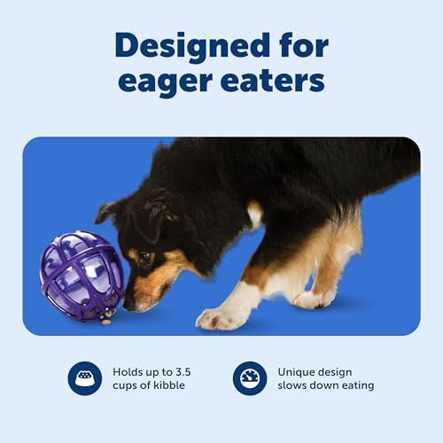 PetSafe Busy Buddy Kibble Nibble Treat Dispensing Dog Toy, Medium/Large | Slow Feeder Holds up to 3.5 Cups of Food, Adjustable Prongs Customize Treat Flow, Top-Rack Dishwasher Safe, for Dogs 20+ Lb