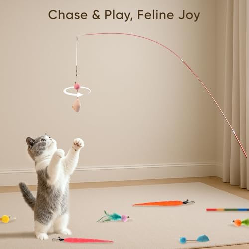 Cat Toys for Indoor Cats, 11 Packs Interactive Cat Wand Toy Set with Feather Toys&Ribbon Refills,Retractable Cat Wand with Bell Refills for Kittens Play and Exercise