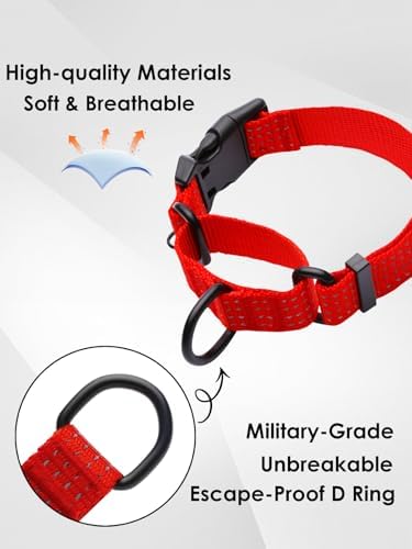 Martingale Dog Collar, Reflective No Pull with Buckle, Red, L
