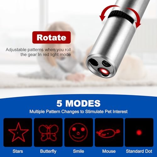 Damflew 2pcs Laser Pointer, Cat Toys for Indoor Cats, Kitten Dog Laser Pen Toy, Red Dot LED Light Pointer Interactive Toys for Indoor Cats Dogs, USB Charging, 5 Switchable Patterns
